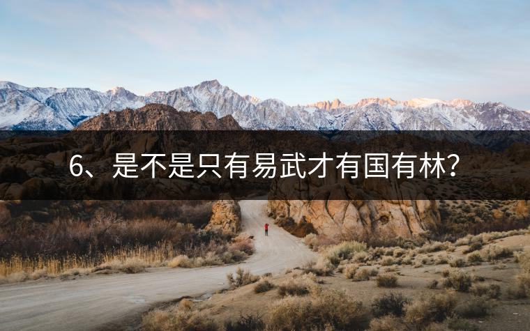 6、是不是只有易武才有國有林？