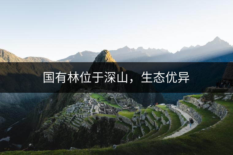 國有林位于深山，生態優異