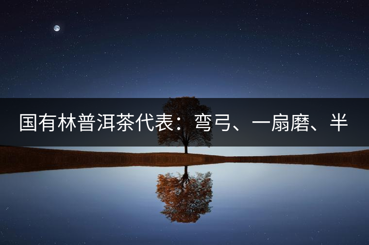 國有林普洱茶代表:彎弓、一扇磨、半坡老寨 國有林普洱茶代表:彎弓、一扇磨、半坡老寨
