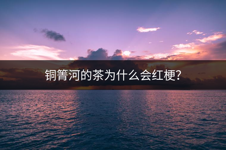 銅箐河的茶為什么會紅梗? 銅箐河的茶為什么會紅梗?