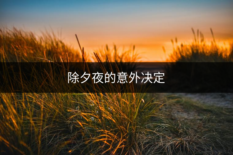 除夕夜的意外決定 除夕夜的意外決定