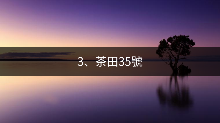 3、茶田35號(hào)