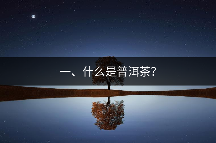 一、什么是普洱茶？