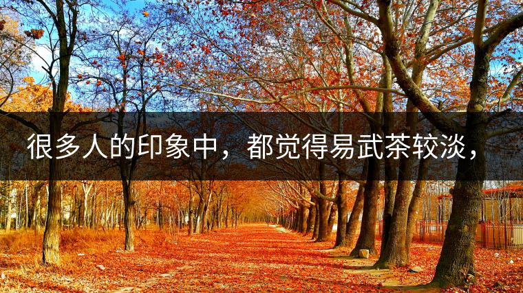 很多人的印象中,都覺得易武茶較淡,但存放幾年后,再喝又覺得茶味茶氣變濃了。我們就這個問題,考察了易武古茶山,和走訪了當地茶農。我們發現這跟易武古樹茶的茶質和茶農制茶的傳統工藝有關。 很多人的印象中,都覺得易武茶較淡,但存放幾年后,再喝又覺得茶味茶氣變濃了。我們就這個問題,考察了易武古茶山,和走訪了當地茶農。我們發現這跟易武古樹茶的茶質和茶農制茶的傳統工藝有關。