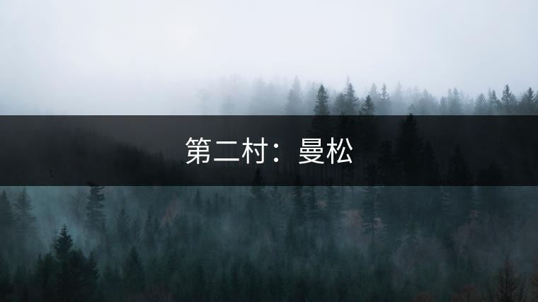 第二村:曼松 第二村:曼松