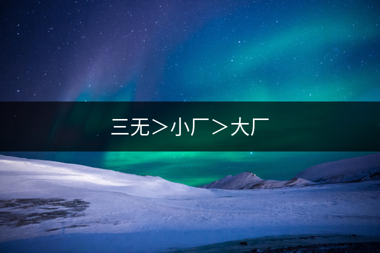 三無>小廠>大廠 三無>小廠>大廠