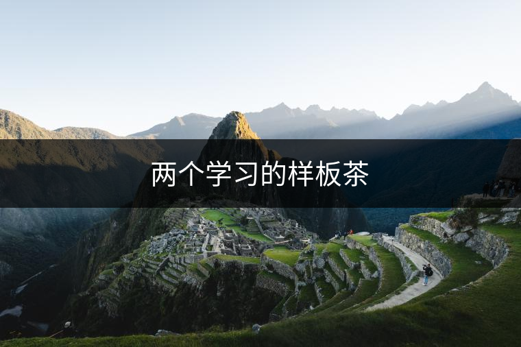 兩個學習的樣板茶 兩個學習的樣板茶