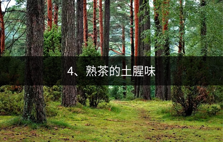 4、熟茶的土腥味 4、熟茶的土腥味