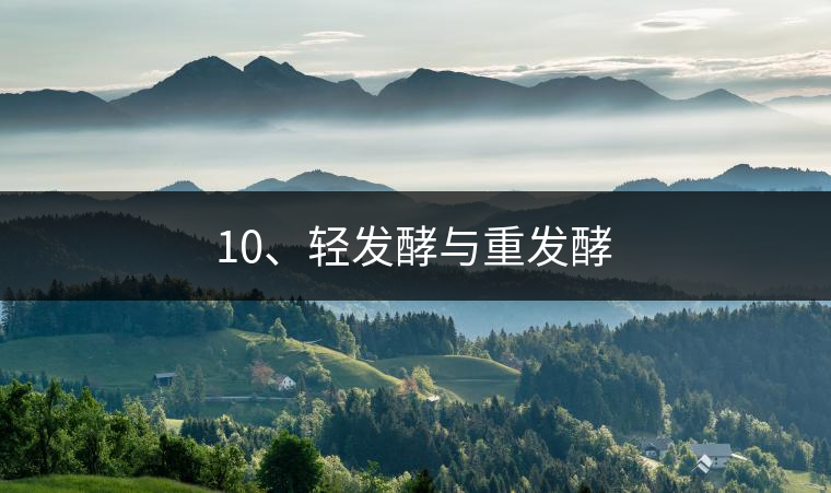 10、輕發(fā)酵與重發(fā)酵 10、輕發(fā)酵與重發(fā)酵