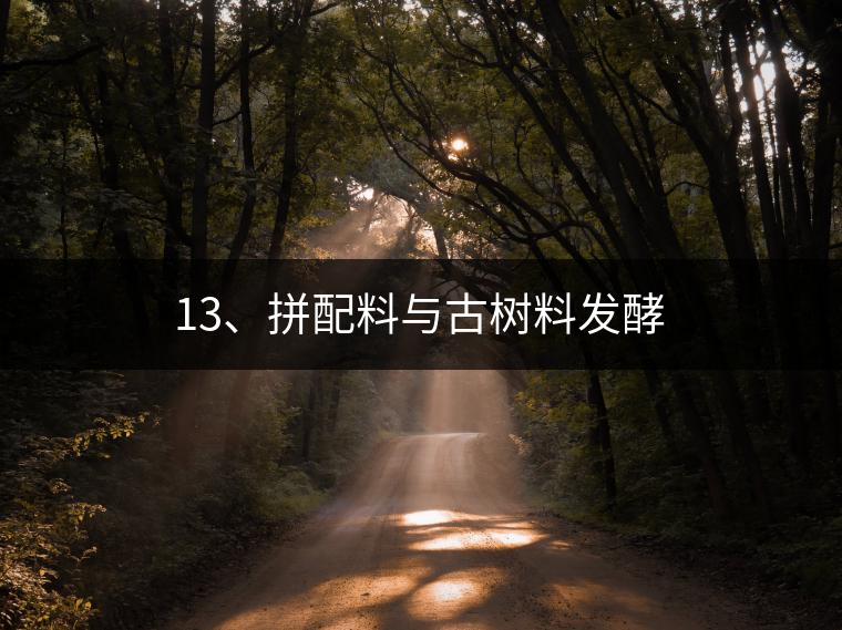 13、拼配料與古樹料發(fā)酵 13、拼配料與古樹料發(fā)酵