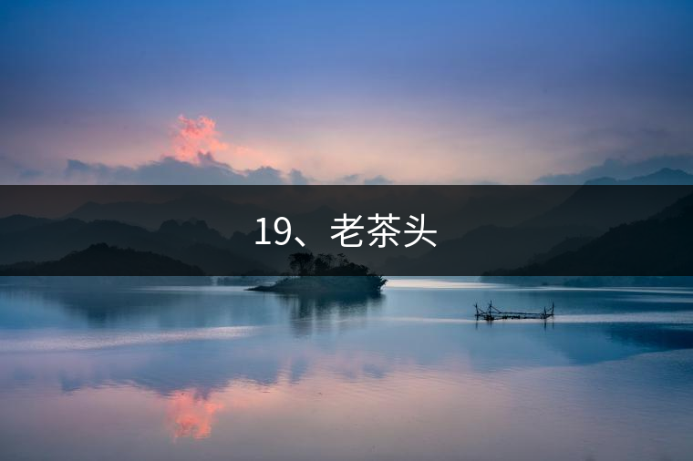19、老茶頭 19、老茶頭