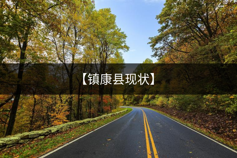 【鎮康縣現狀】 【鎮康縣現狀】