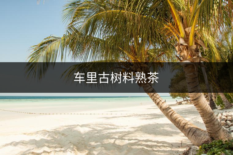 車里古樹料熟茶 車里古樹料熟茶