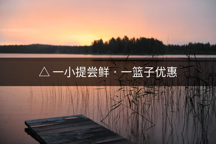 △ 一小提嘗鮮 · 一籃子優惠 △ 一小提嘗鮮 · 一籃子優惠