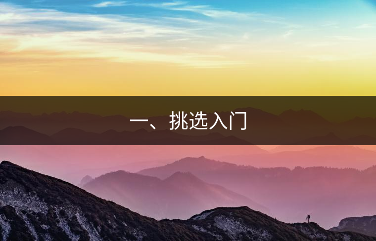 一、挑選入門