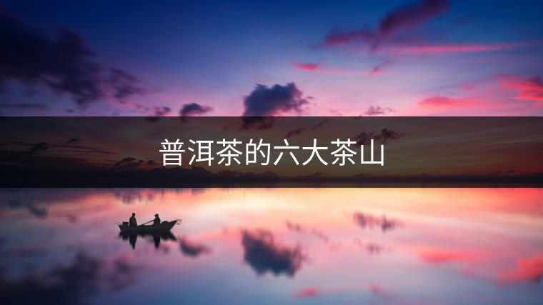 普洱茶的六大茶山 普洱茶的六大茶山