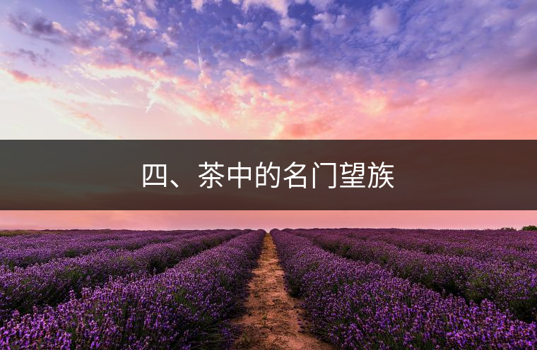 四、茶中的名門望族 四、茶中的名門望族