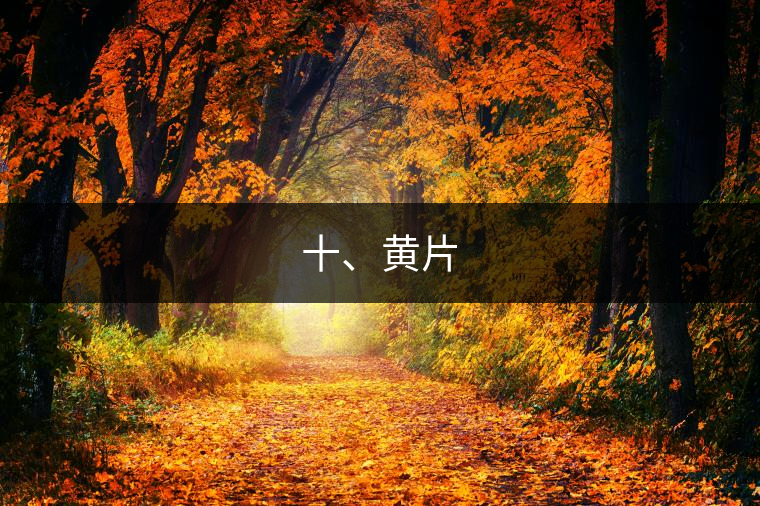 十、黃片 十、黃片