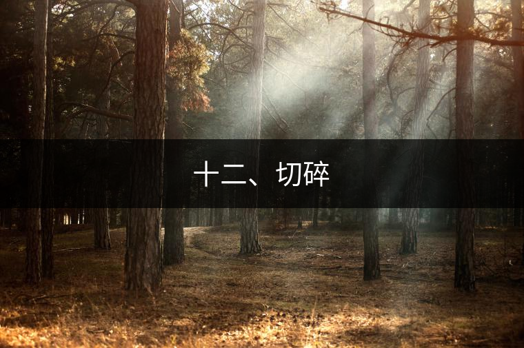 十二、切碎 十二、切碎