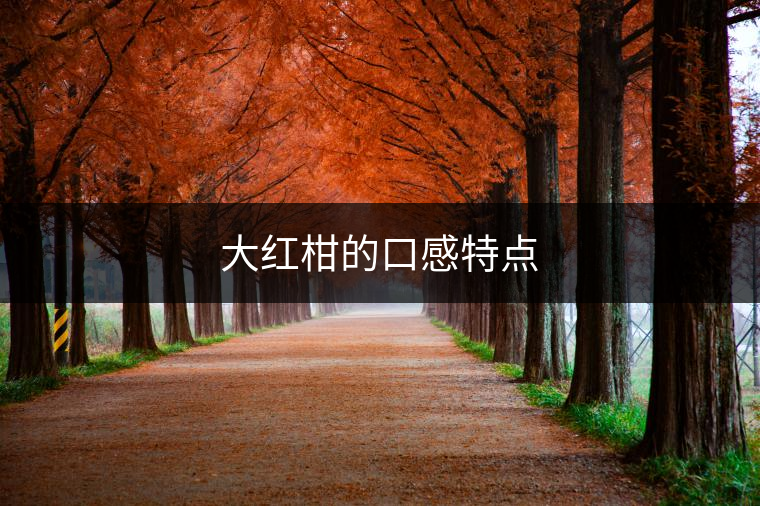 大紅柑的口感特點 大紅柑的口感特點