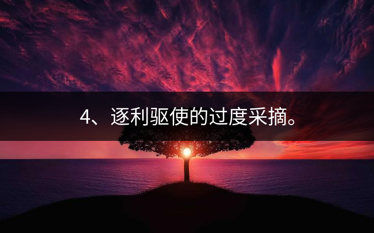 4、逐利驅使的過度采摘。