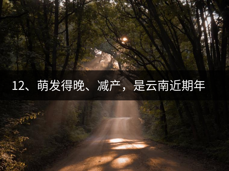 12、萌發得晚、減產，是云南近期年氣候變化在茶樹上的延遲反映。