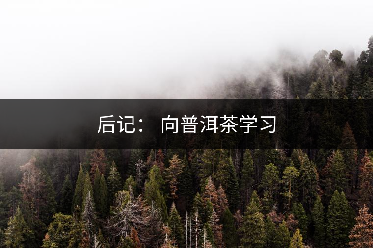 后記： 向普洱茶學習