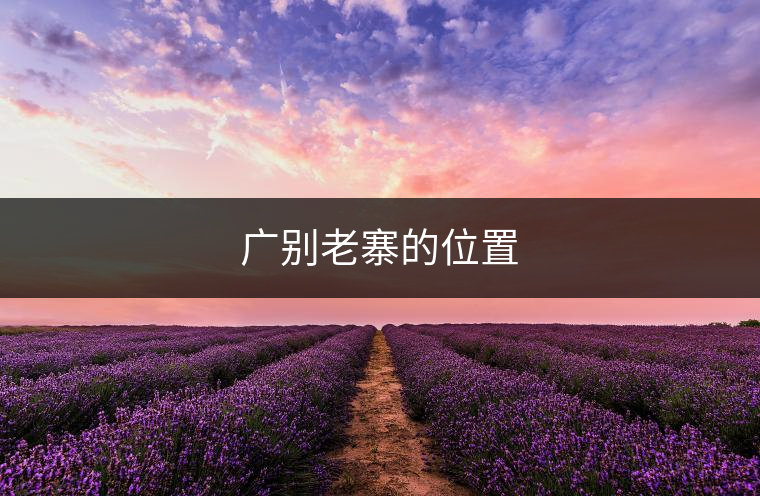 廣別老寨的位置 廣別老寨的位置