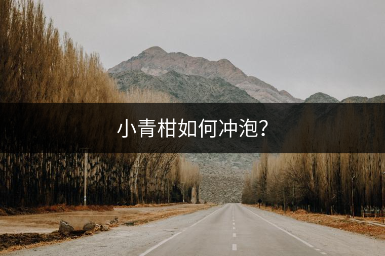 小青柑如何沖泡？
