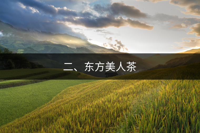 二、東方美人茶 二、東方美人茶
