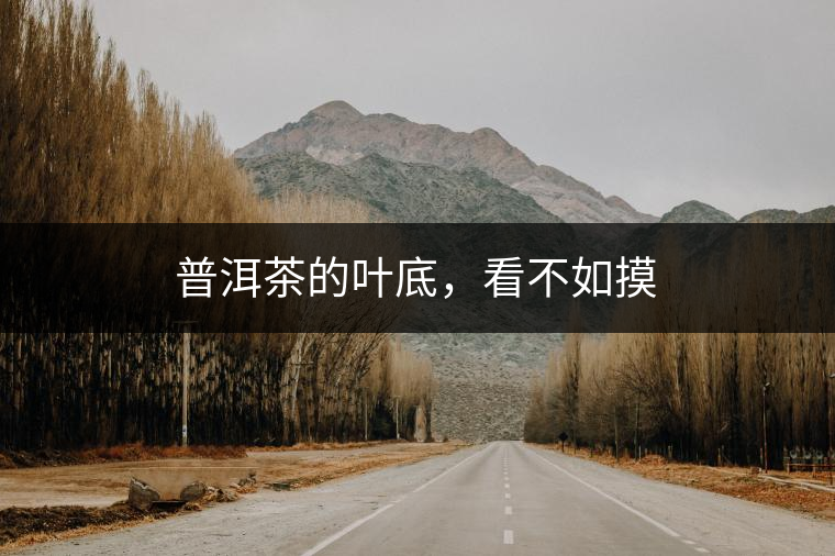 普洱茶的葉底,看不如摸 普洱茶的葉底,看不如摸