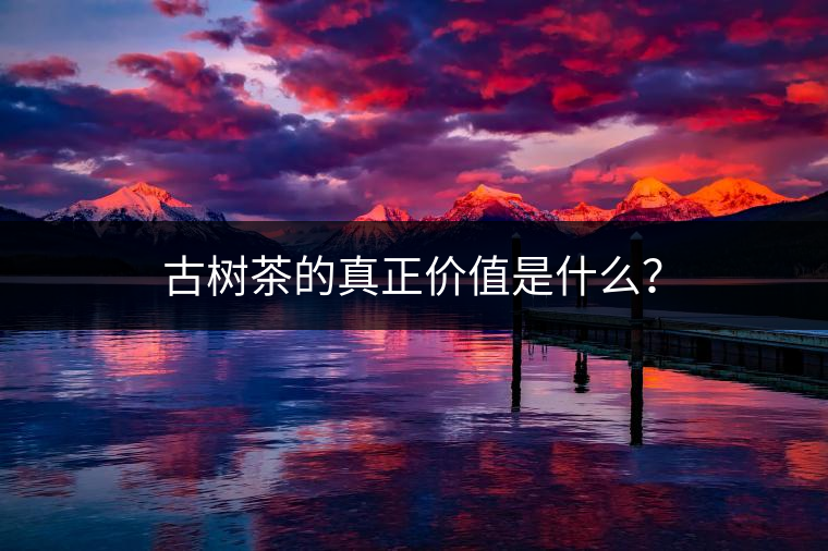 古樹茶的真正價(jià)值是什么? 古樹茶的真正價(jià)值是什么?