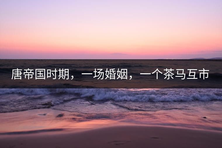 唐帝國(guó)時(shí)期，一場(chǎng)婚姻，一個(gè)茶馬互市，讓這里結(jié)束了漢藏對(duì)峙。宋代南茶北，西北茶馬司設(shè)立，因茶而改變的生活日益凸顯。元代八思巴與忽必烈在這一區(qū)域結(jié)盟，為蒙藏兩大民族交往鋪好通衢大道，明代俺答汗與達(dá)賴(lài)在山海之間追思各自先人，青海人宗喀巴創(chuàng)建的黃教通過(guò)蒙、藏兩大領(lǐng)袖的推廣，締造了影響至今的格局。大清經(jīng)過(guò)康、雍、乾三代勵(lì)精圖治，滿(mǎn)、藏、蒙各自龐大的疆域第一次完整地統(tǒng)轄在中央帝國(guó)的版圖下。