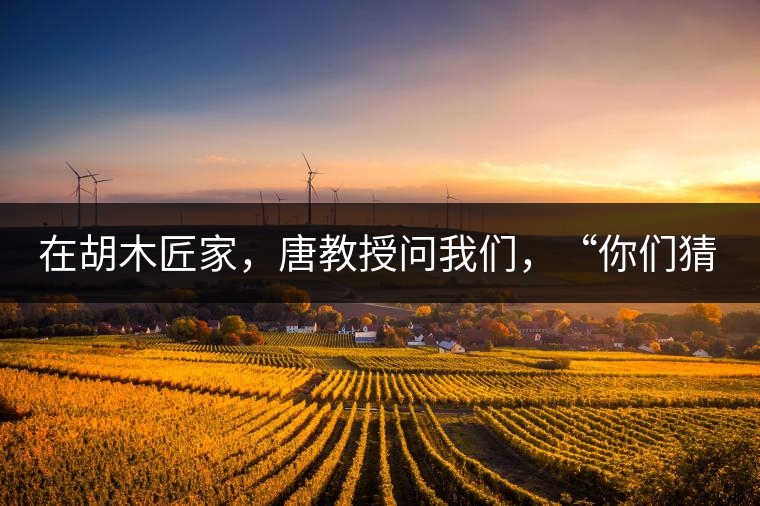 在胡木匠家,唐教授問(wèn)我們,“你們猜猜他們家的茶放在哪里?”我們回答廚房、客廳都不對(duì),“難道像寺院一樣,有專(zhuān)門(mén)的茶房不成?”教授和木匠都哈哈大笑,連連搖頭。在木匠的帶領(lǐng)下,我們來(lái)到主人的臥室,茶磚整齊有序地堆放在床頭柜里。一家之主的臥室,既是休息之所,亦是一家財(cái)富與傳家寶的收藏地。茶之精貴,毋需多言。 在胡木匠家,唐教授問(wèn)我們,“你們猜猜他們家的茶放在哪里?”我們回答廚房、客廳都不對(duì),“難道像寺院一樣,有專(zhuān)門(mén)的茶房不成?”教授和木匠都哈哈大笑,連連搖頭。在木匠的帶領(lǐng)下,我們來(lái)到主人的臥室,茶磚整齊有序地堆放在床頭柜里。一家之主的臥室,既是休息之所,亦是一家財(cái)富與傳家寶的收藏地。茶之精貴,毋需多言。