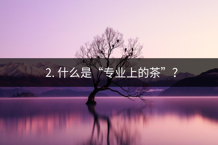 ? 2. 什么是“專業上的茶”？