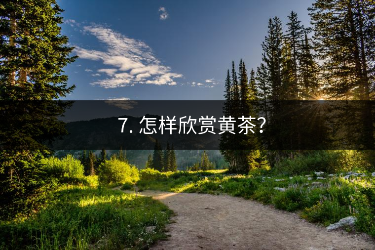 ? 7. 怎樣欣賞黃茶? ? 7. 怎樣欣賞黃茶?