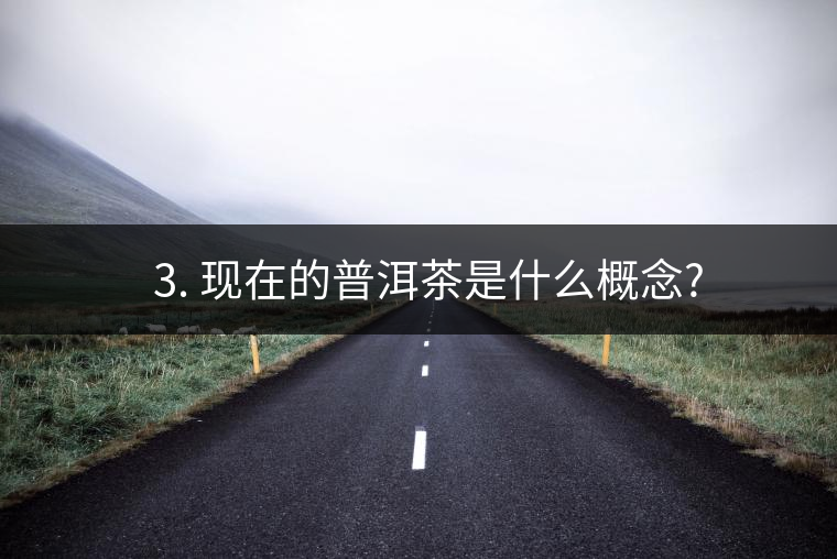 ? 3. 現在的普洱茶是什么概念?