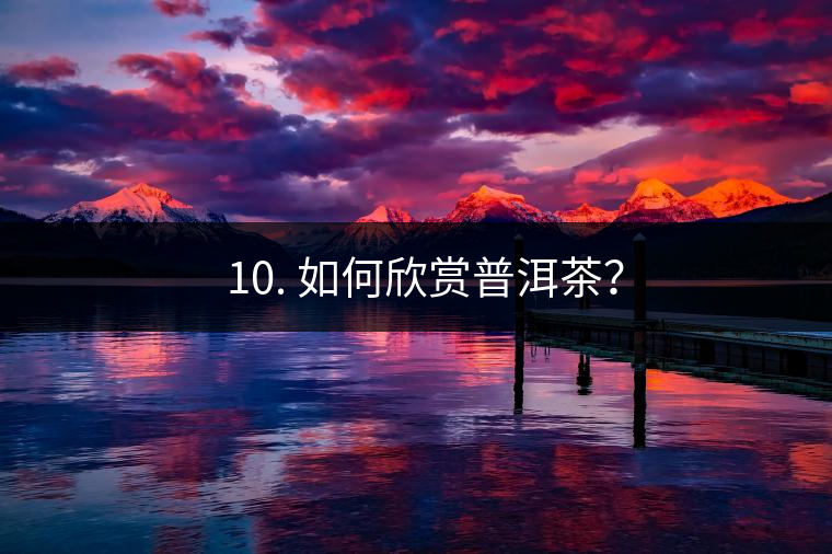 ? 10. 如何欣賞普洱茶? ? 10. 如何欣賞普洱茶?