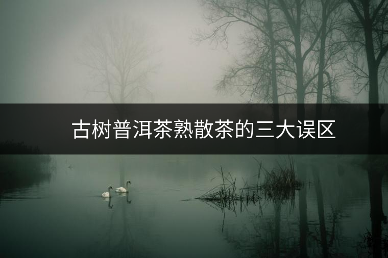 ??? 古樹普洱茶熟散茶的三大誤區