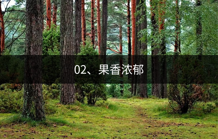 02、果香濃郁 02、果香濃郁