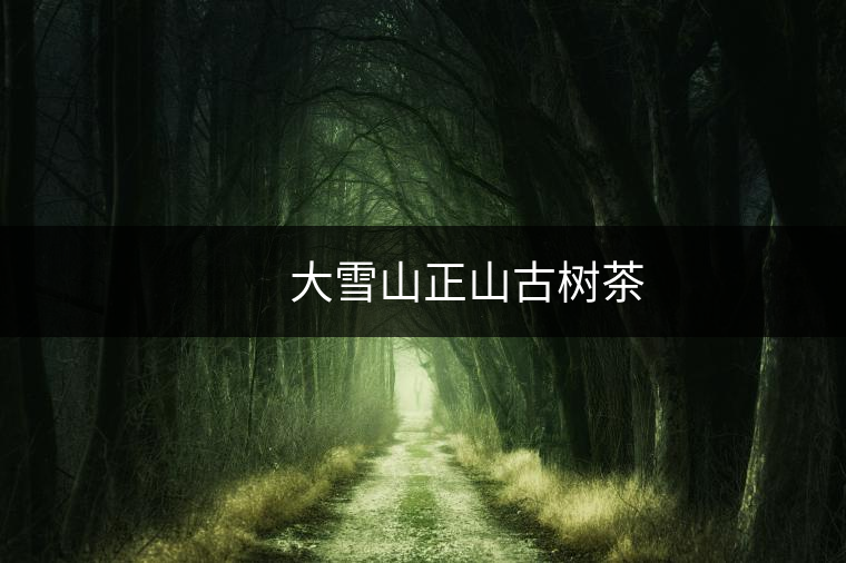 大雪山正山古樹茶 大雪山正山古樹茶