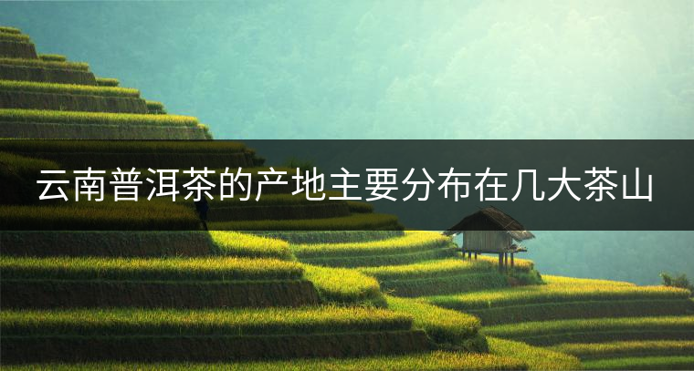 云南普洱茶的產地主要分布在幾大茶山,普洱茶古茶山以瀾滄江為界劃分為 云南普洱茶的產地主要分布在幾大茶山,普洱茶古茶山以瀾滄江為界劃分為