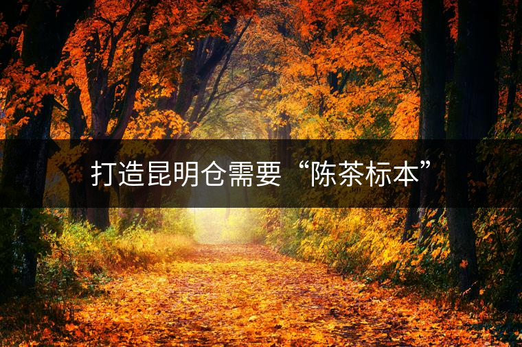 打造昆明倉需要“陳茶標本” 打造昆明倉需要“陳茶標本”