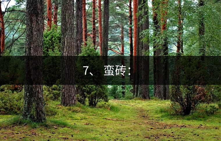 7、 蠻磚:? 7、 蠻磚:?