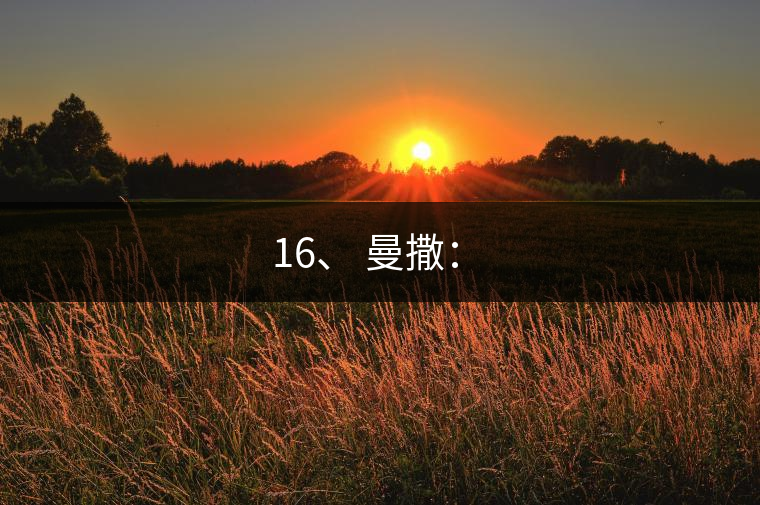 16、 曼撒:? 16、 曼撒:?