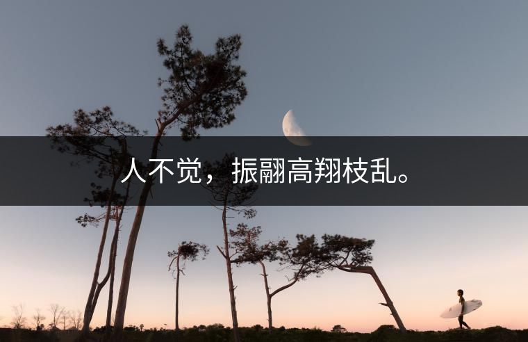 人不覺(jué),振翮高翔枝亂。 人不覺(jué),振翮高翔枝亂。
