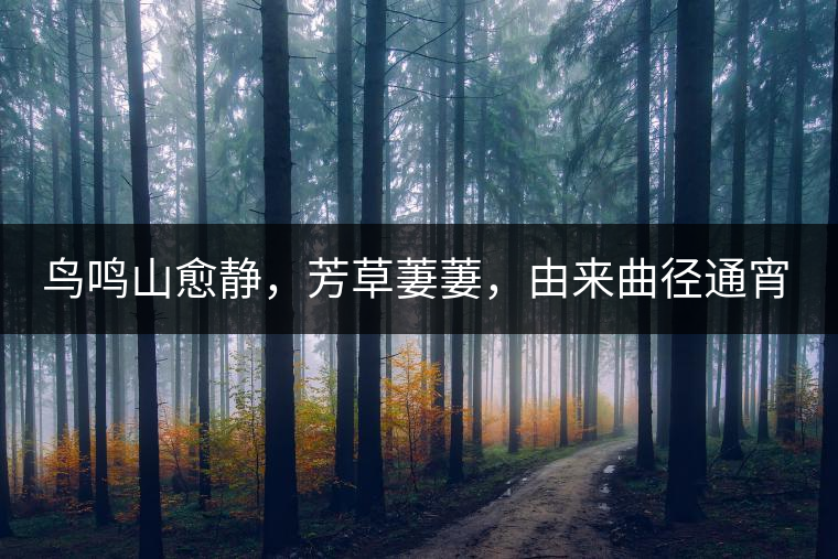 鳥(niǎo)鳴山愈靜,芳草萋萋,由來(lái)曲徑通宵漢。 鳥(niǎo)鳴山愈靜,芳草萋萋,由來(lái)曲徑通宵漢。