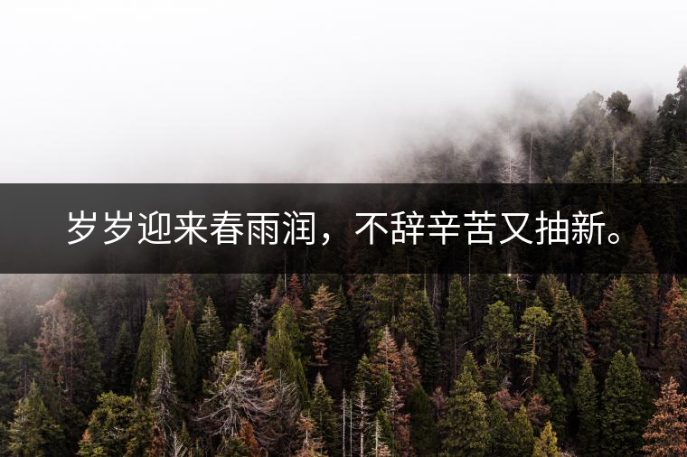 歲歲迎來春雨潤，不辭辛苦又抽新。