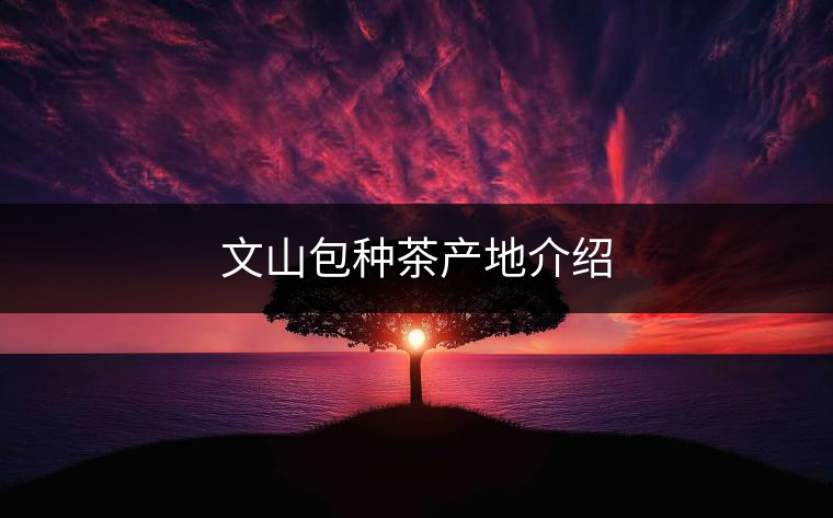 文山包種茶產地介紹 文山包種茶產地介紹