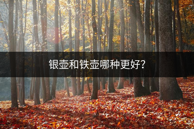 銀壺和鐵壺哪種更好? 銀壺和鐵壺哪種更好?